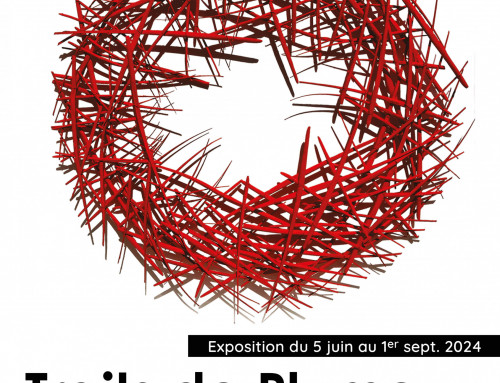 Exposition “Traits de plume”,  par Patrick Di Meglio du 5 juin au 1er septembre 2024